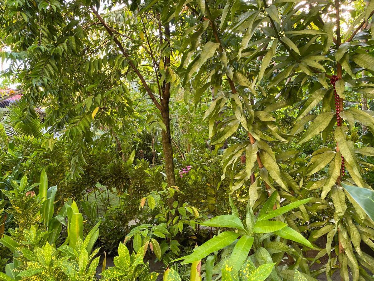 Union  Siargao Residency 아파트 외부 사진